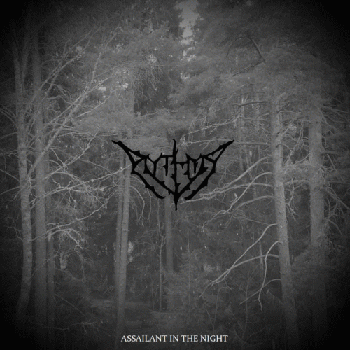 Assailant in the Night